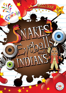 Fireworks Snakes, Eyeballs and Indians 6th Class Skills Book