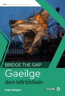 Bridge the Gap Gaeilge TY