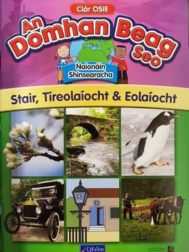 An Domhan Beag Seo - Naionain Shinsearacha